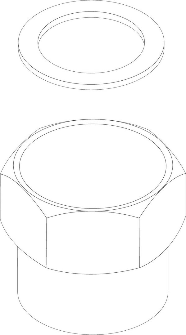 BOSCH Ersatzteil TTNR: 8738809842 Anschlussverschraubung R1 1/4 Everp BOSCH Ersatzteil TTNR: 8738809842 Anschlussverschraubung R1 1/4 Everp