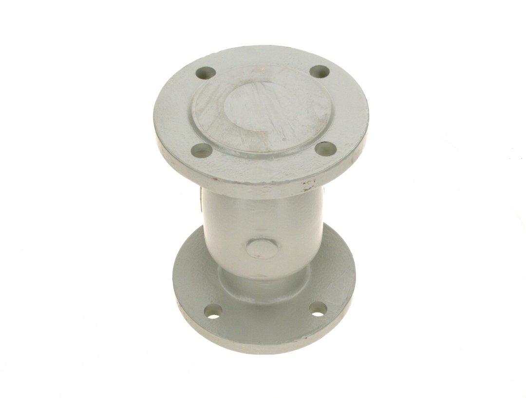 BOSCH Ersatzteil TTNR: 7736603883 Rueckschlagklappe DN65 PN16 everp