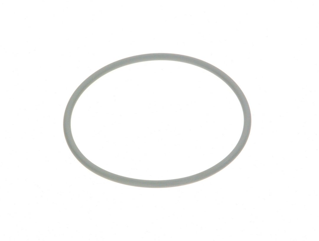 BOSCH Ersatzteil TTNR: 87090556 Runddichtung DN80 PerOxyd grau Set (5x)